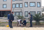 غرس نهال در دانشگاه جامع علمی کاربردی استان خوزستان